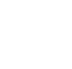 마우스